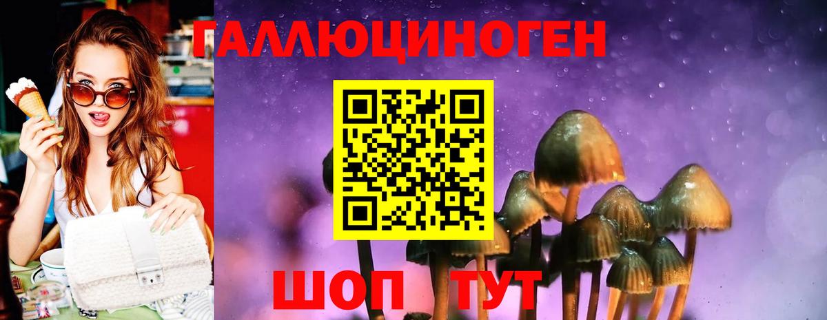 Псилоцибиновые грибы GOLDEN TEACHER  Вход с VPN  Галлюциногенные грибы MAGIC MUSHROOMS  Дзержинск 